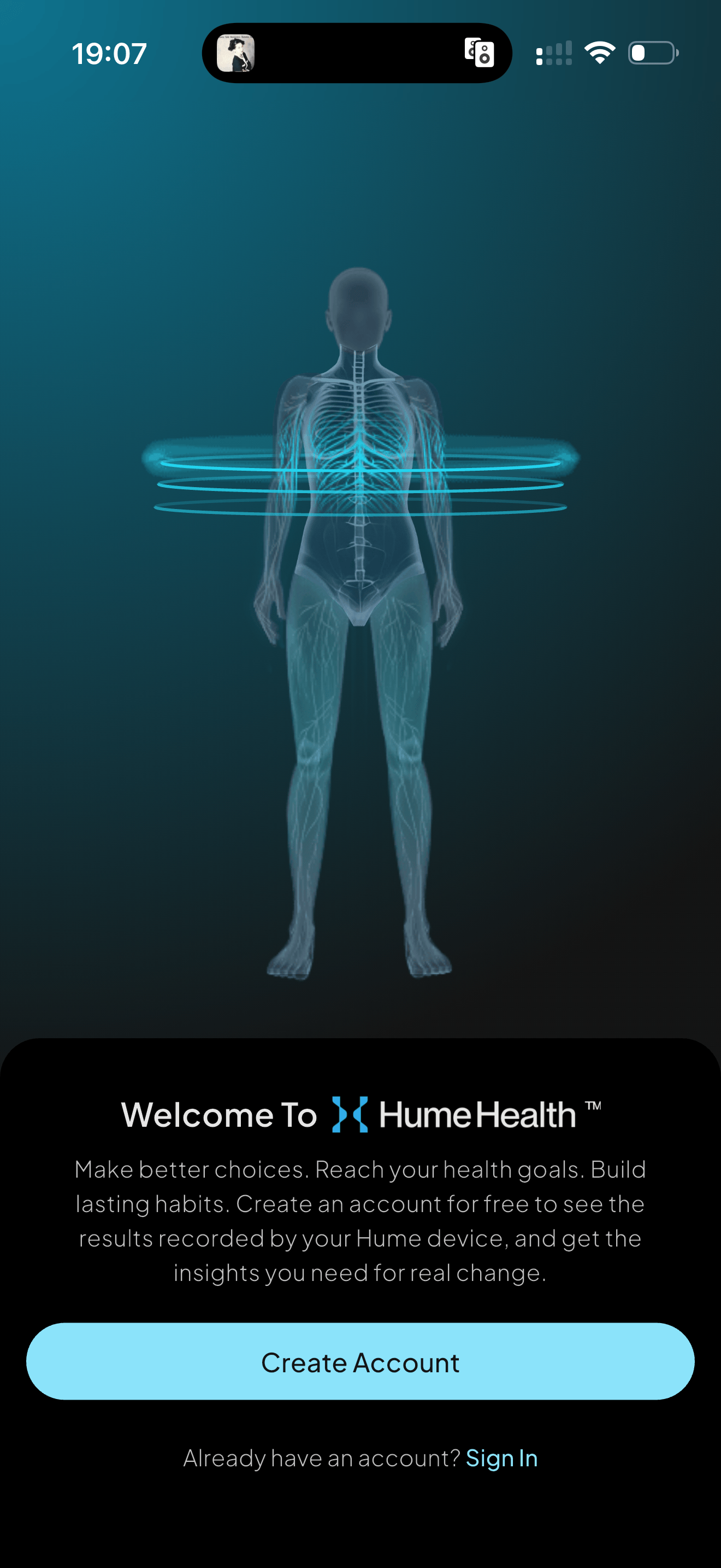 Analysis screenshot 2